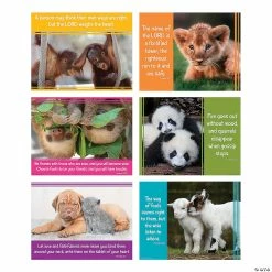 Best reviews of 👍 Baby Animals Faith Messages Poster Set - 6 Pc. ✔️