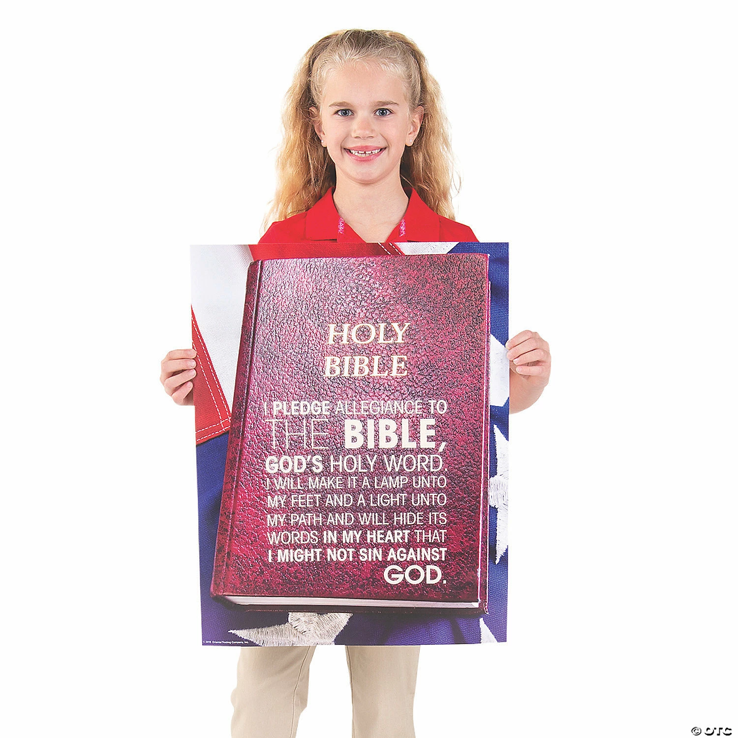 Wholesale π₯° Pledge Poster Set - 3 Pc. β€οΈ - Image 2