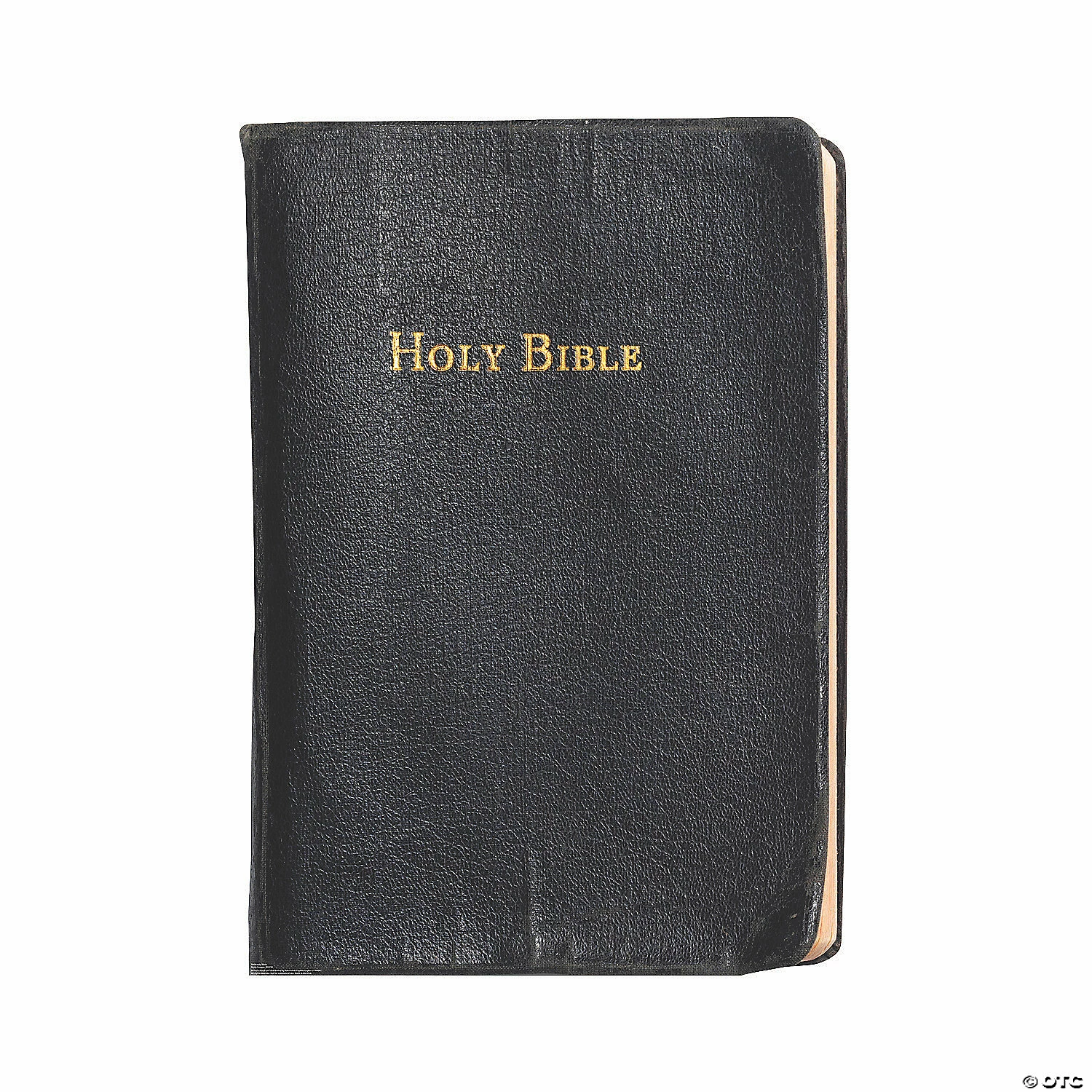 Budget 💯 The Holy Bible Cardboard Stand-Up 🔥 - Image 2